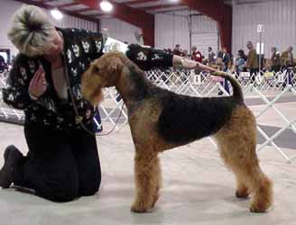 Chesapeake Kennel Club 1