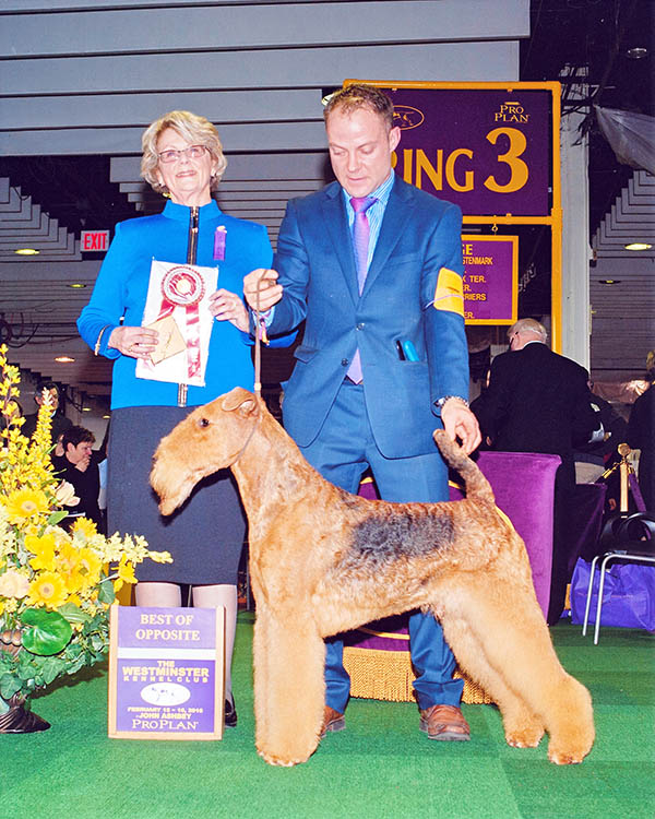 GCH JOVAL It's My Time - DREW