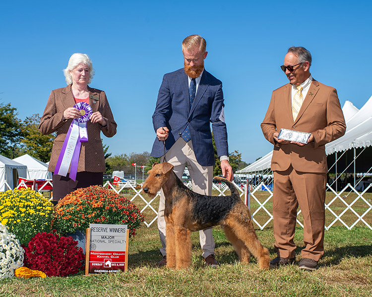 Derrek - Joval Spice It Up