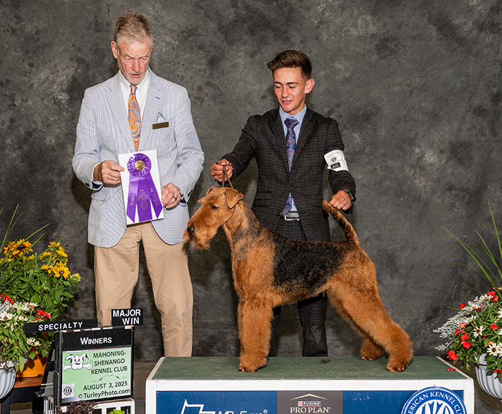 Nikki - Joval's In the Nick of Time